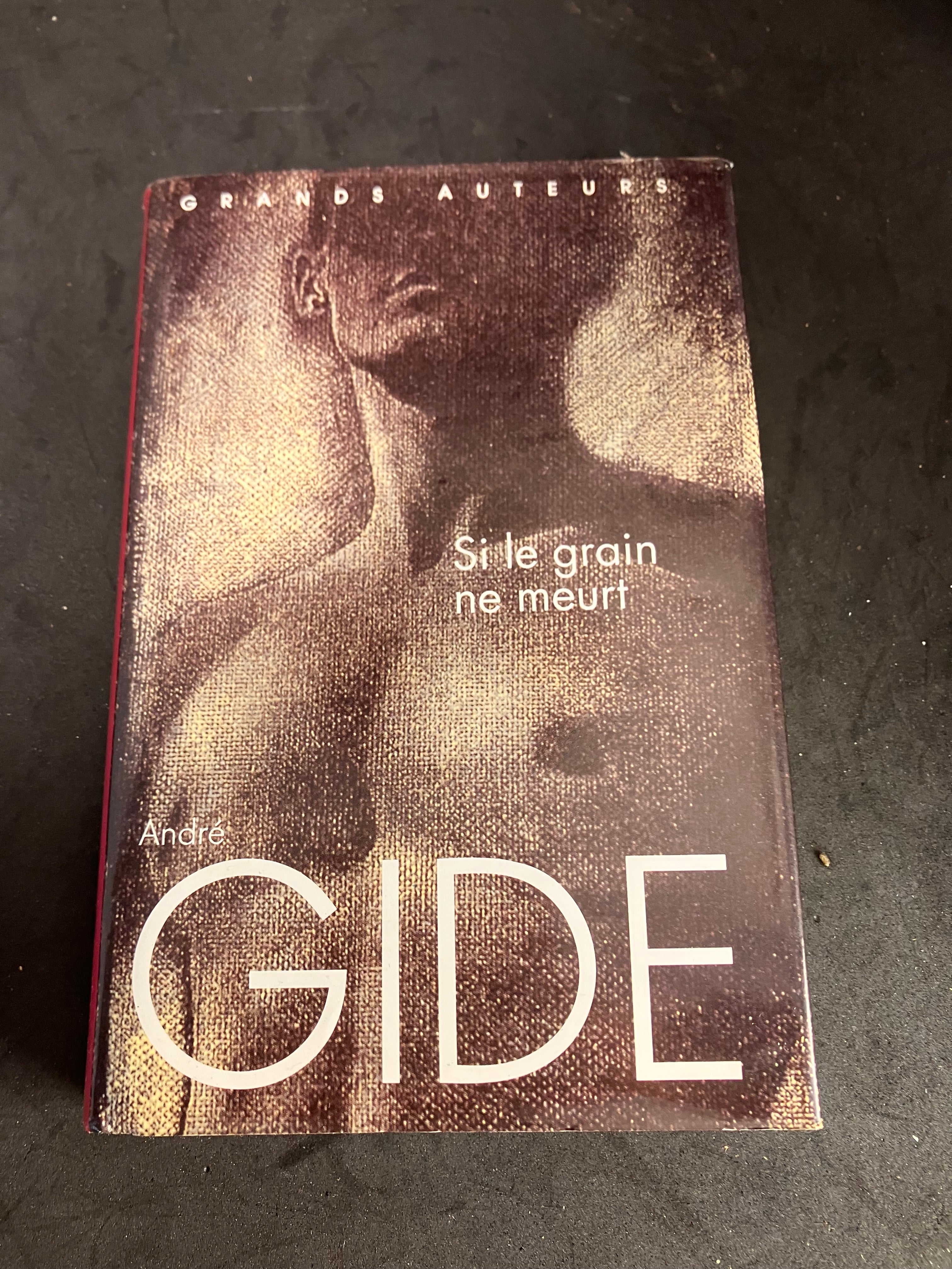 Si le grain ne meurt – André Gide
