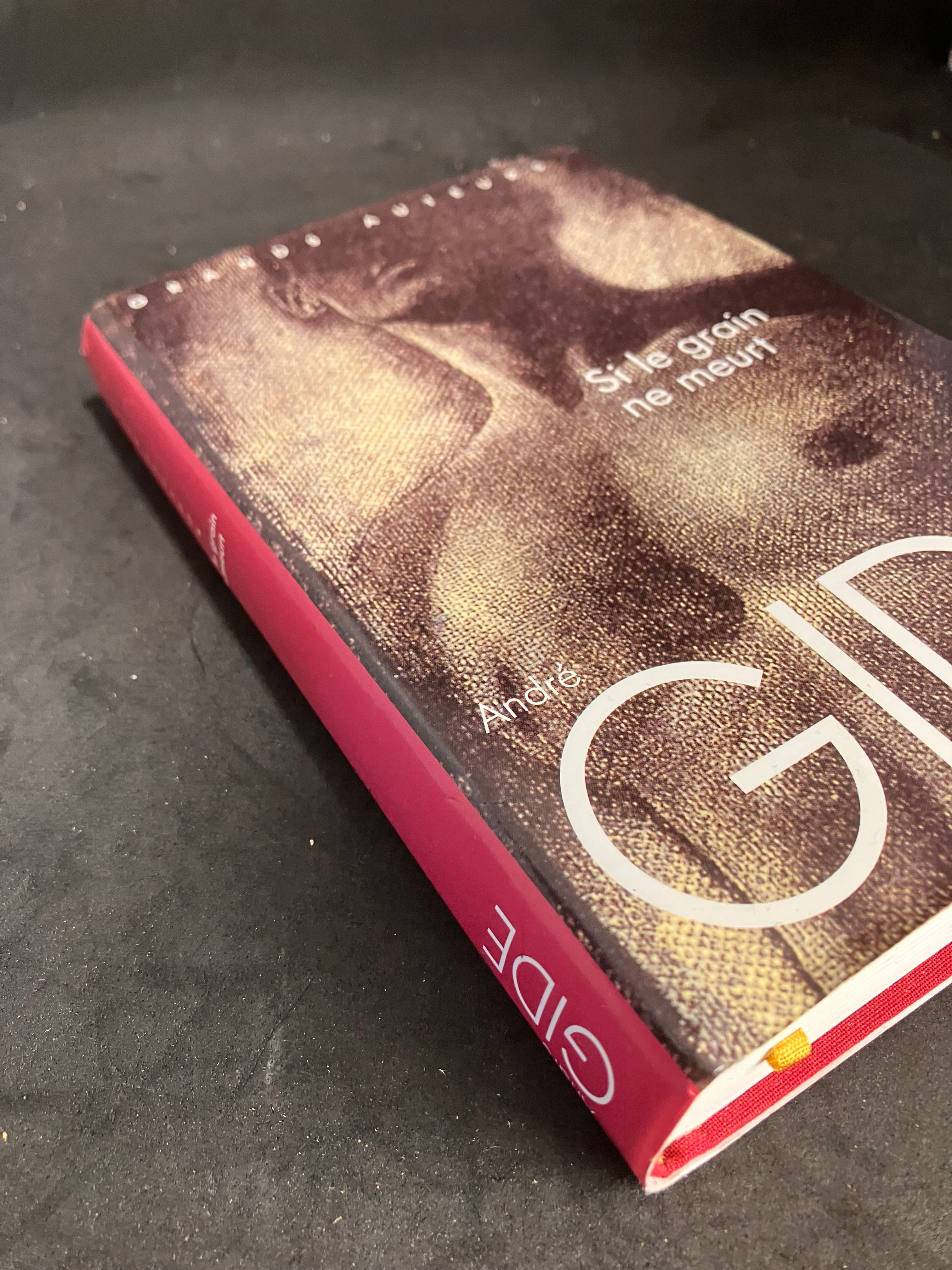 Si le grain ne meurt – André Gide