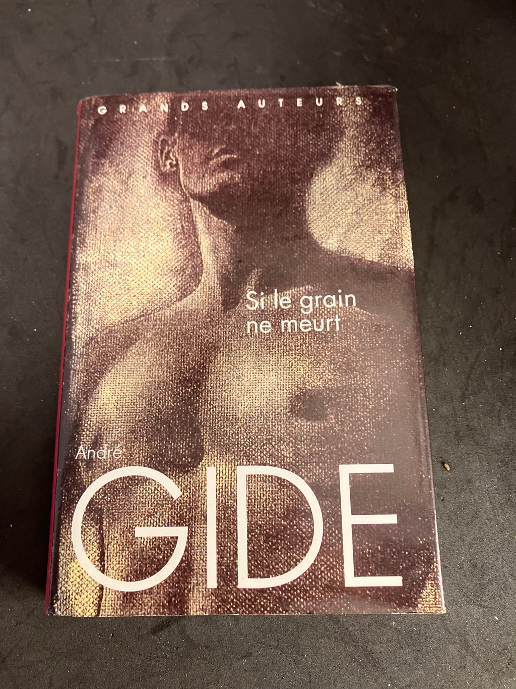 Si le grain ne meurt – André Gide