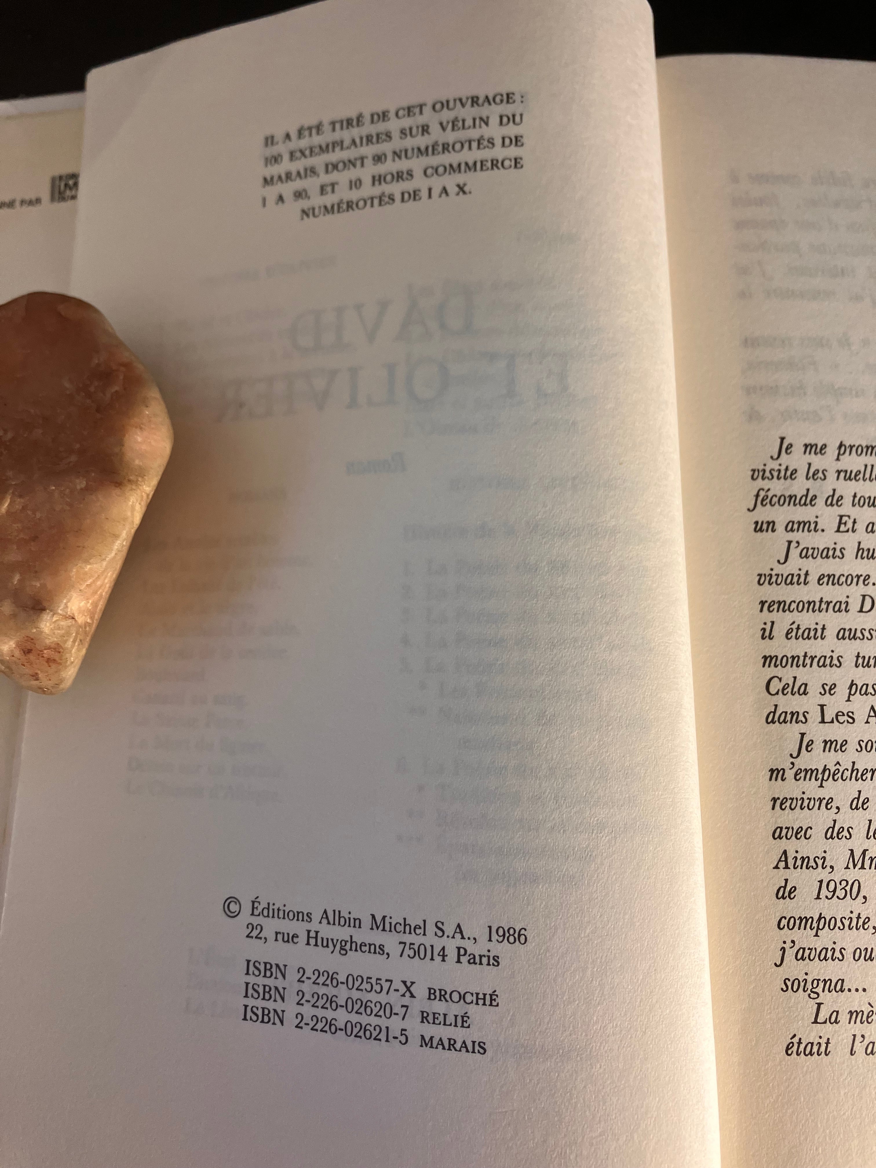 David et Olivier – Robert Sabatier (Éd. Albin Michel, 1986)