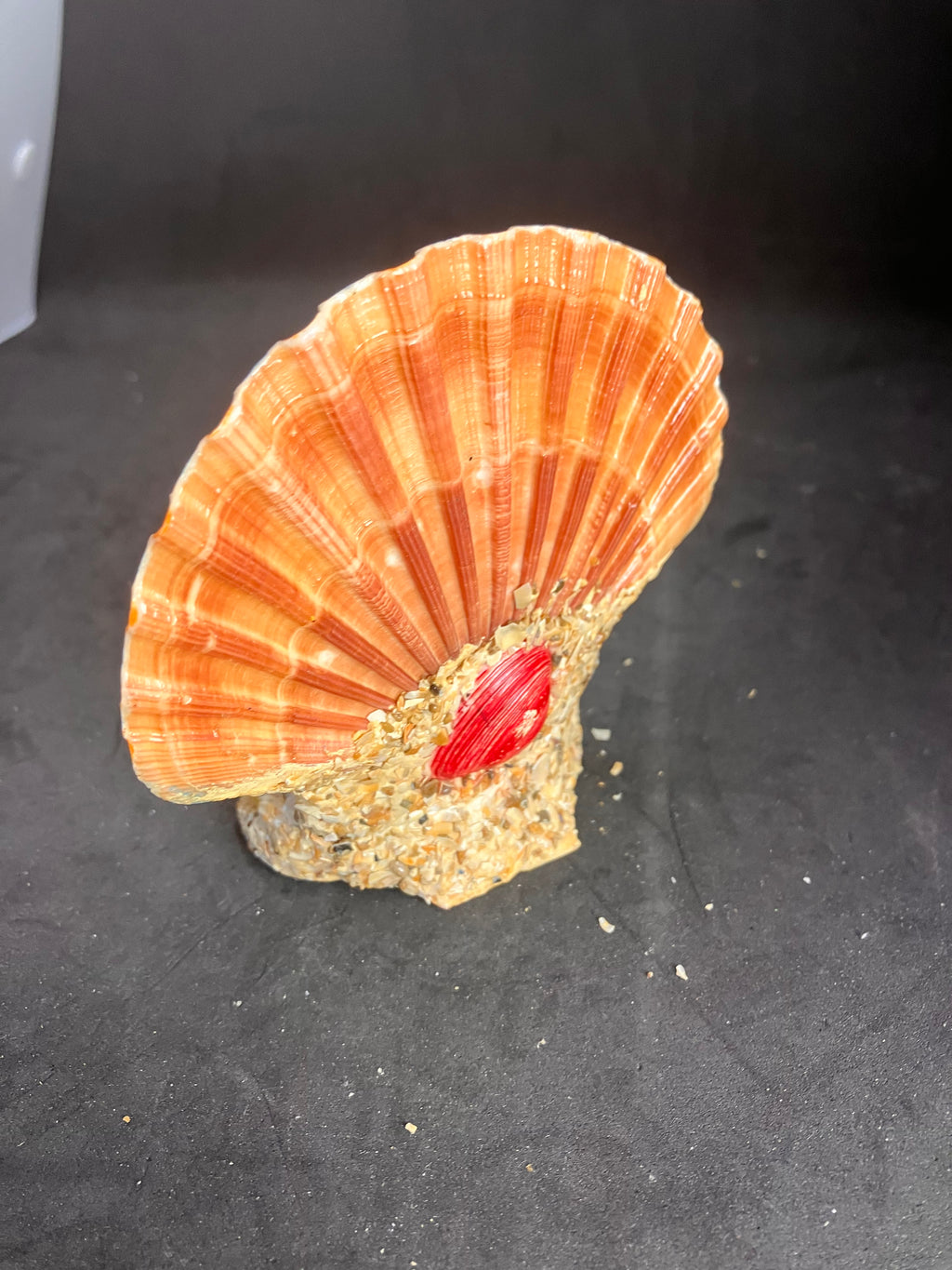Souvenir ancien « Le Mont St Michel » – Marin pêcheur et coquillage décoratif (années 1950-1970)