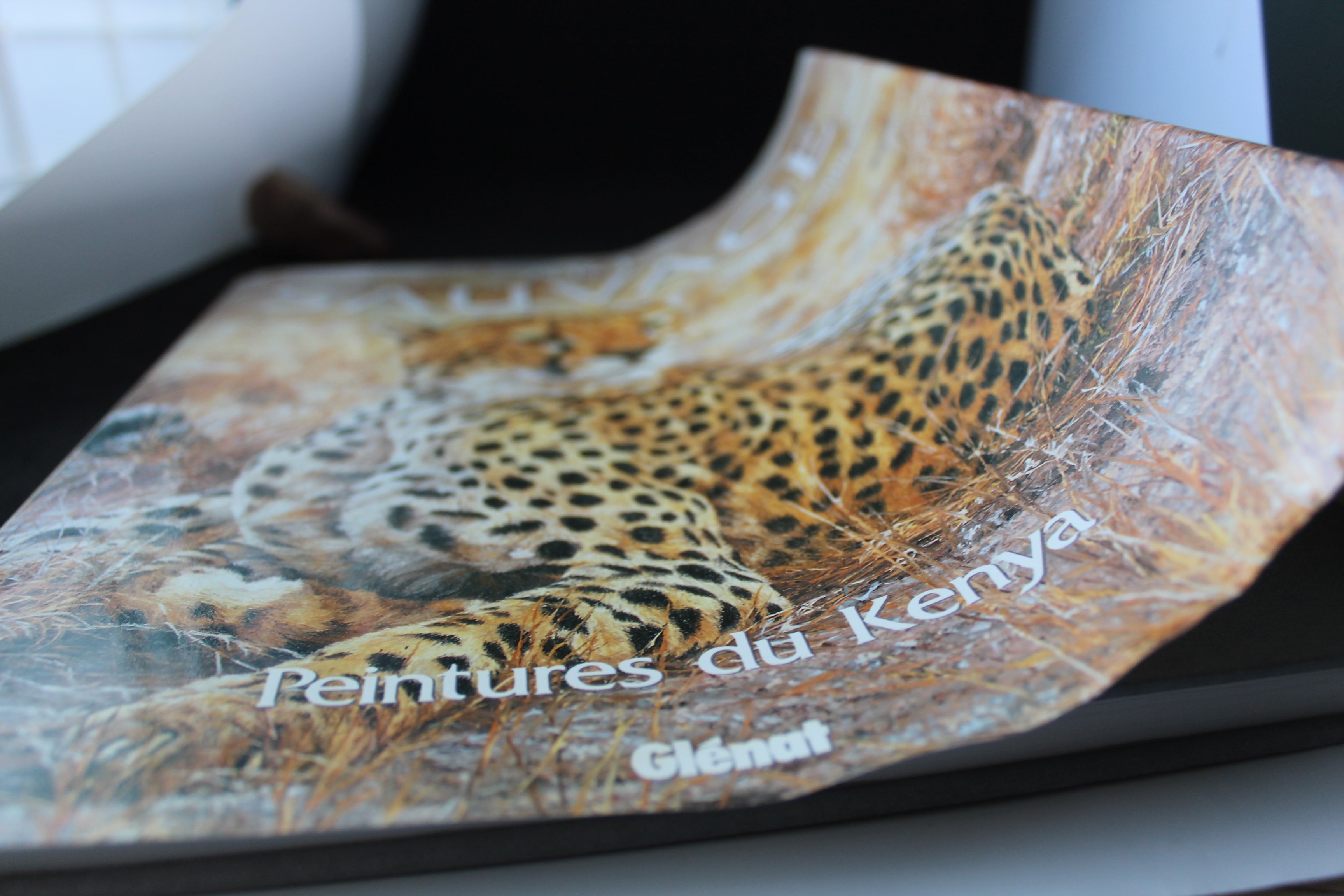 Art Sauvage : Peintures du Kenya — Simon Combes (Éditions Glénat, 1989)