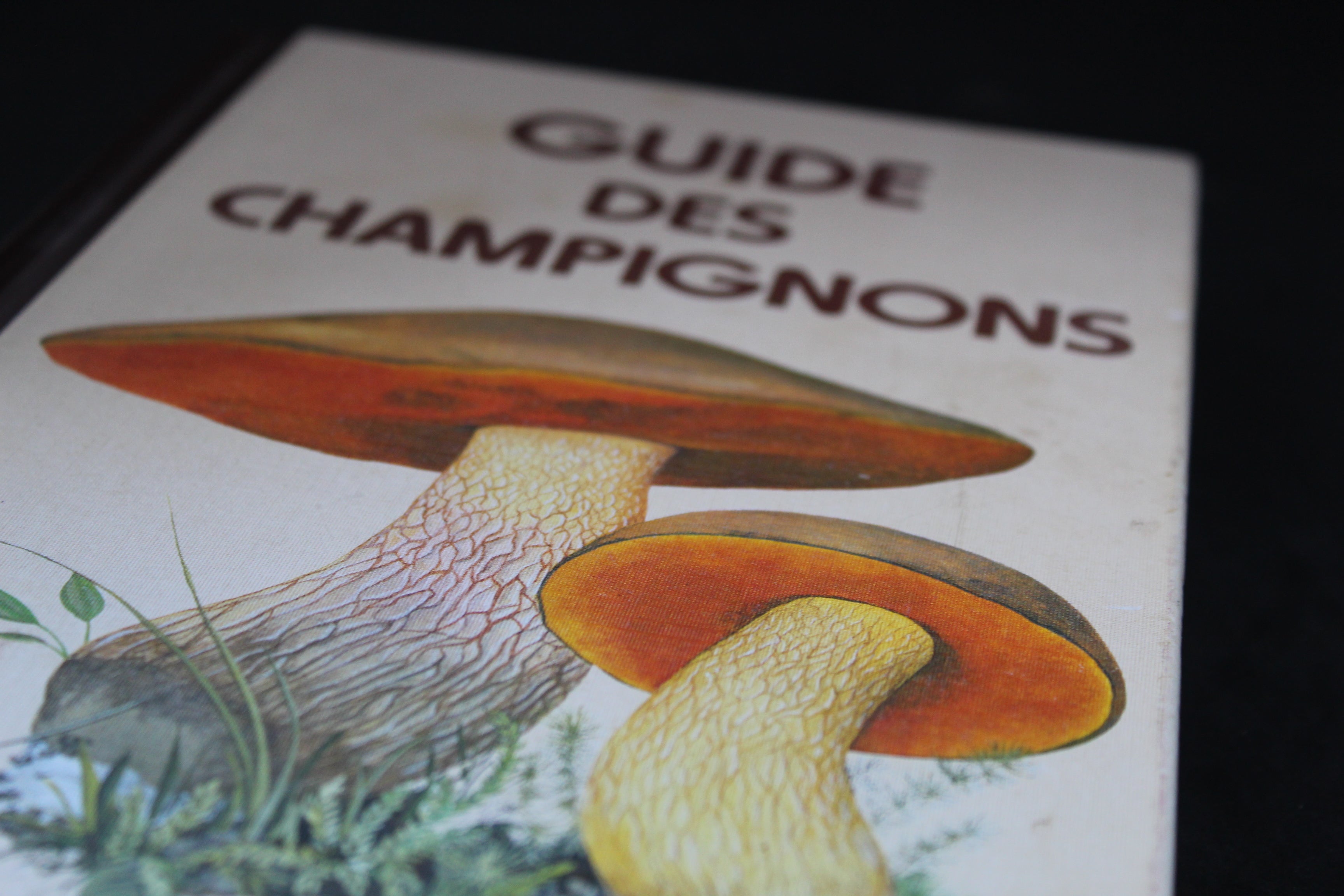Guide des Champignons - Sélection du Reader’s Digest (Éd. 1982)