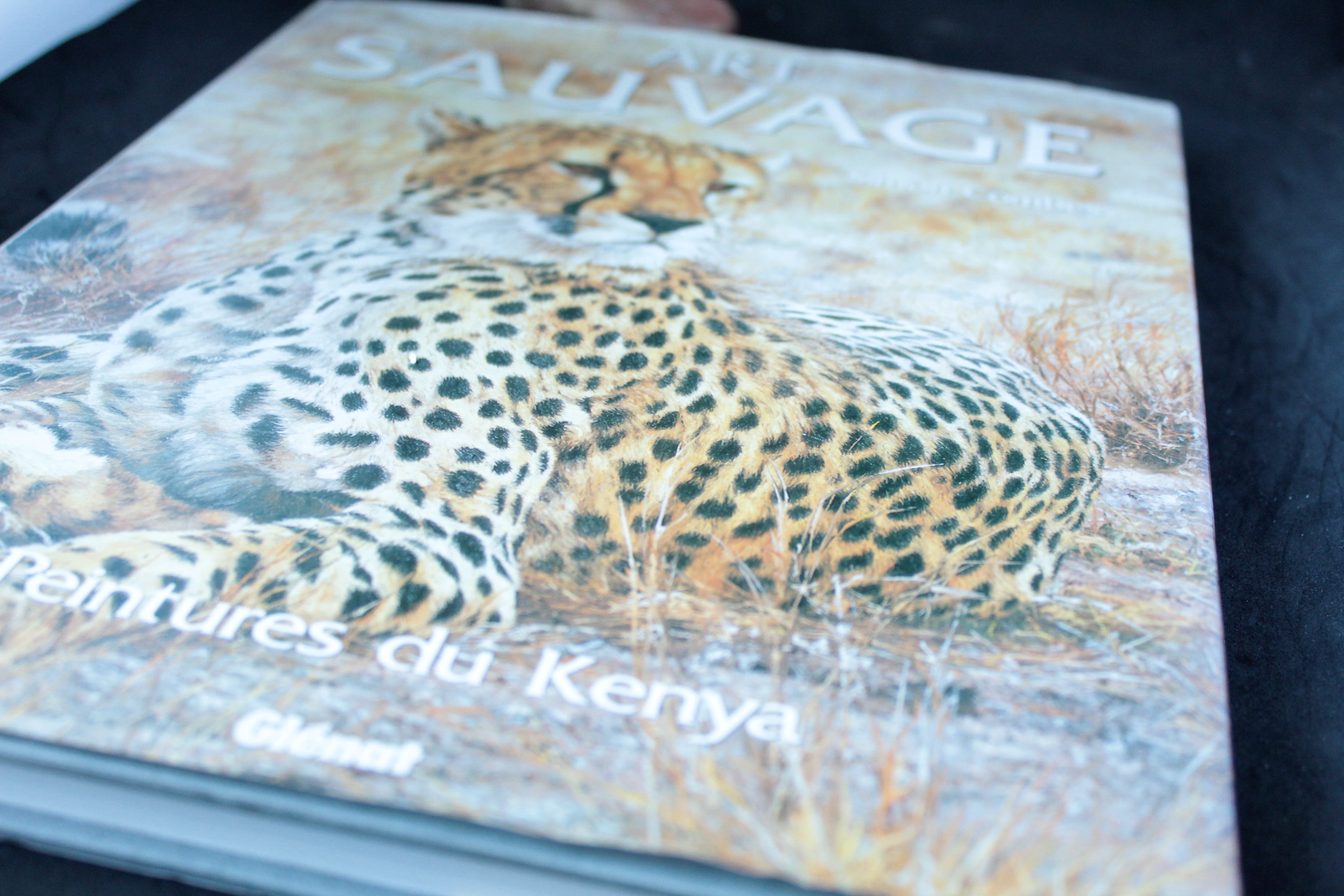 Art Sauvage : Peintures du Kenya — Simon Combes (Éditions Glénat, 1989)
