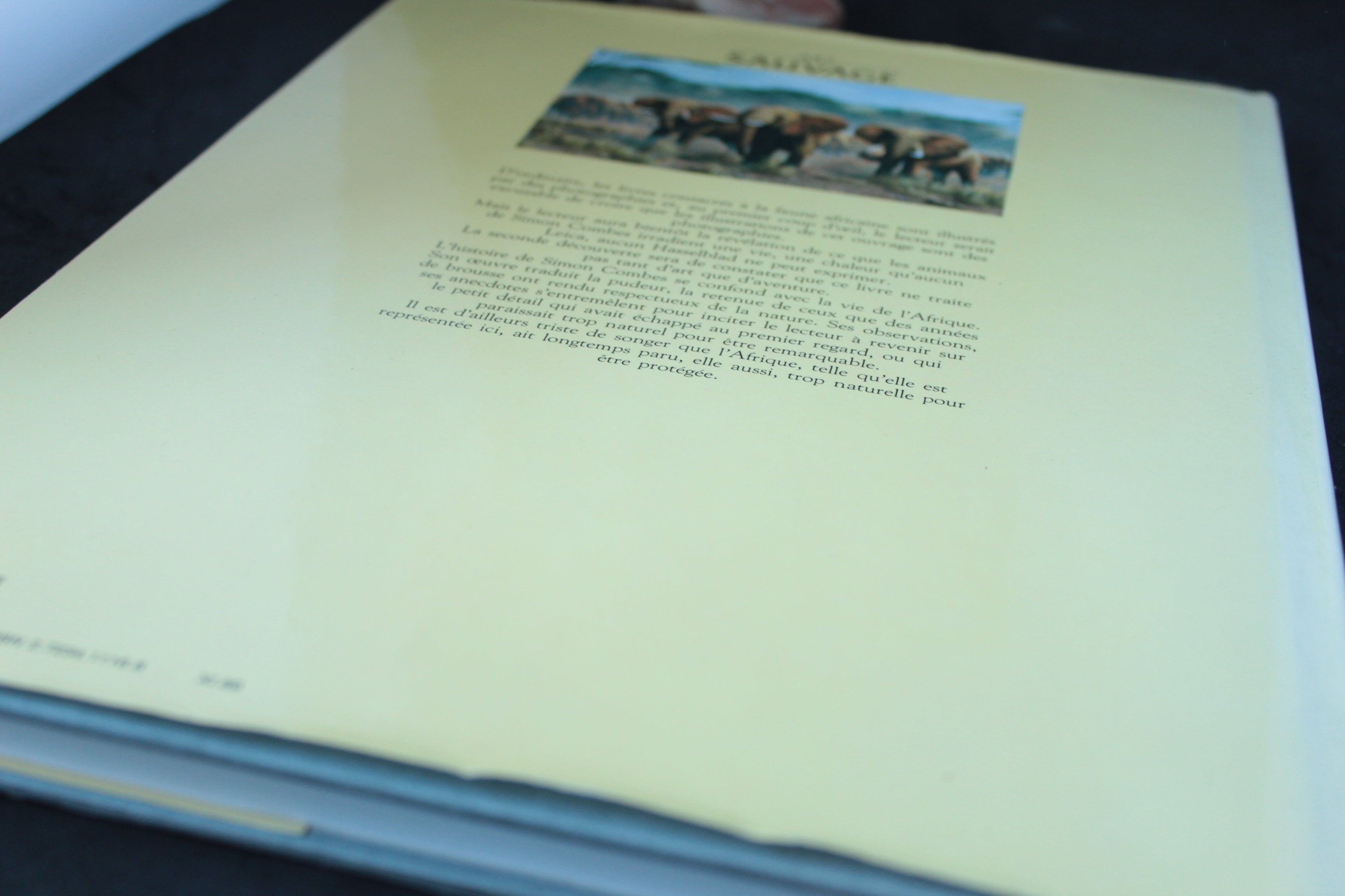 Art Sauvage : Peintures du Kenya — Simon Combes (Éditions Glénat, 1989)