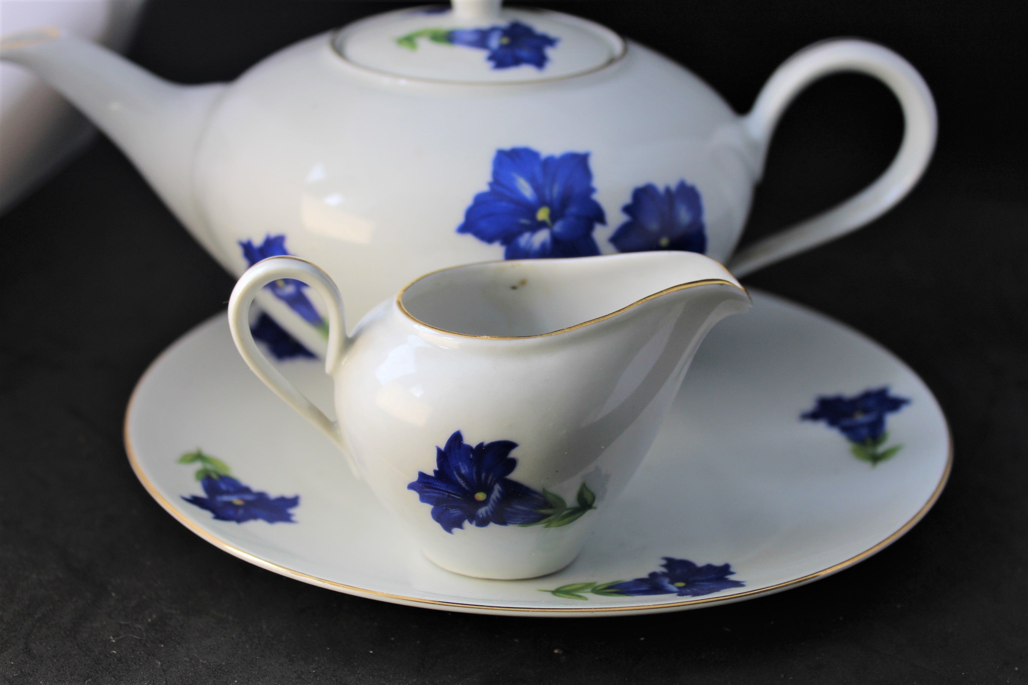 Service à thé/café en porcelaine Rieber Bavaria – Décor bleu floral